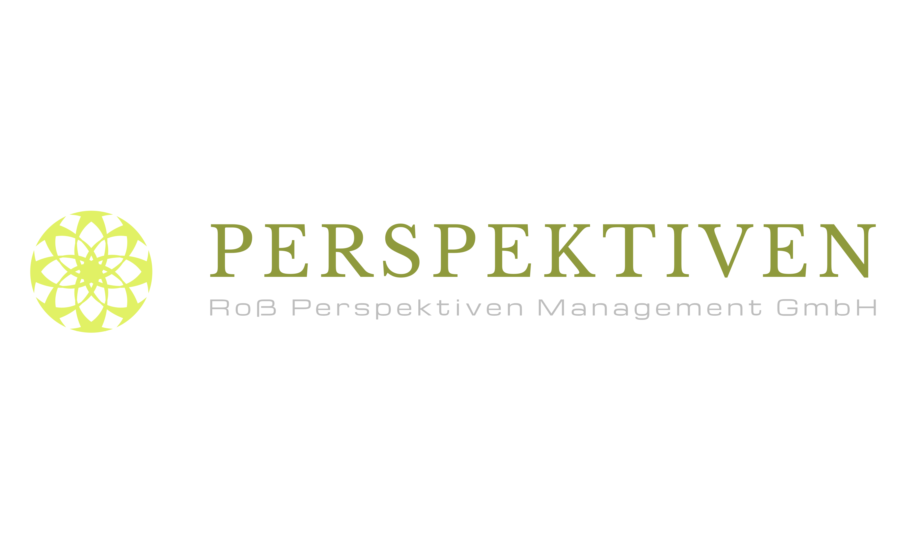 perspektiven management logo